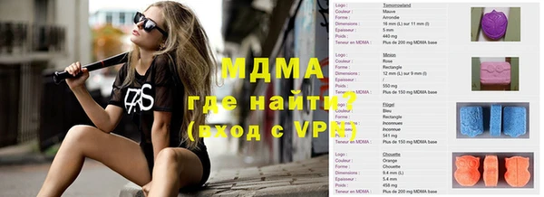 PSILOCYBIN Алзамай