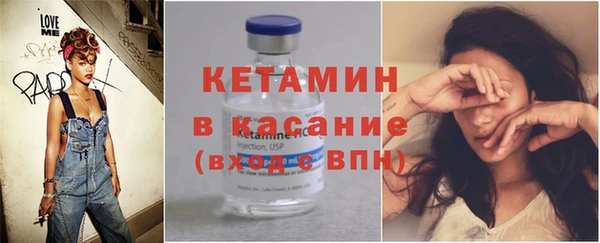 стаф Аркадак
