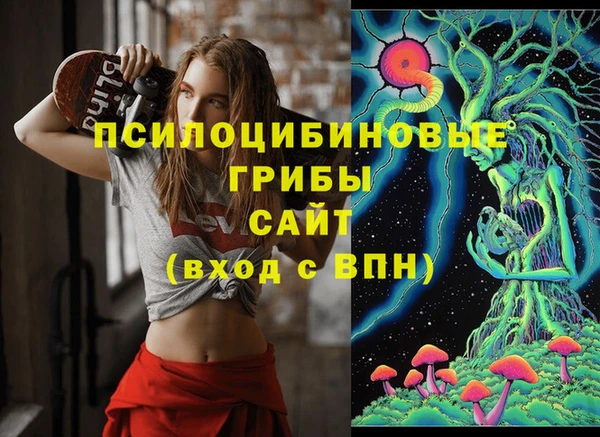 твердый Новокубанск