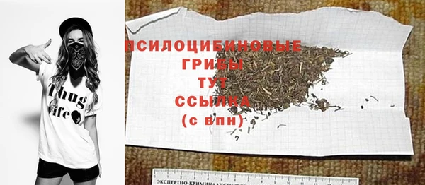 гидропоника Новозыбков