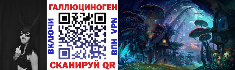 наркота  Абаза  Псилоцибиновые грибы прущие грибы 